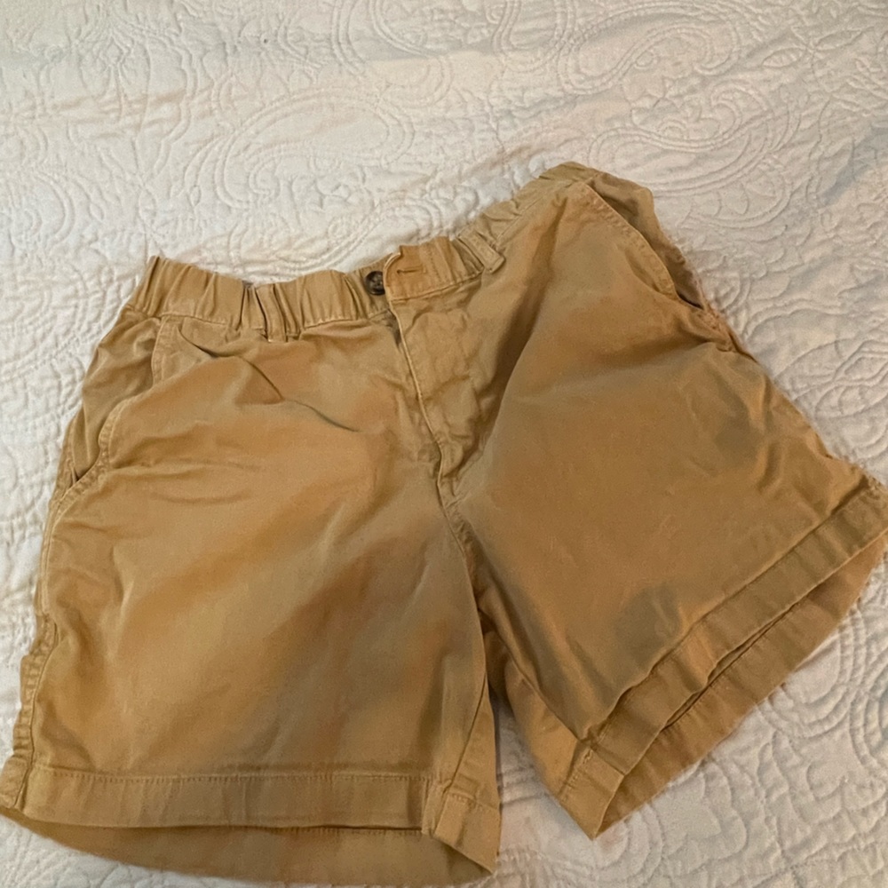 BearBottom M shorts 5.5inch